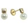 3,5MM MINI SQUARE STUD EARRINGS (HOLLOW BACK) ZIRCONIA: 1,5MM CULTURED PEARL: 4MM